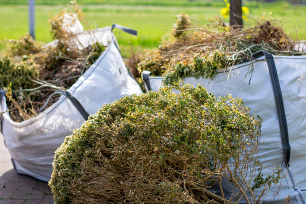 Best Hoarding Cleanup  in Park Hills, KY